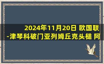 2024年11月20日 欧国联-津琴科破门亚列姆丘克头槌 阿尔巴尼亚1-2乌克兰